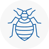 Bed Bug Extermination In Corsham