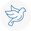 Bird Prevention Corsham