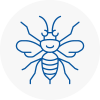 Corsham Hornet Nest Removals