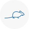 Mice Exterminators In Corsham