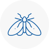 Moth Control Specialists In Corsham