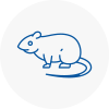 Rat Control Corsham