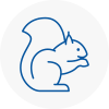Corsham Rodent Removals